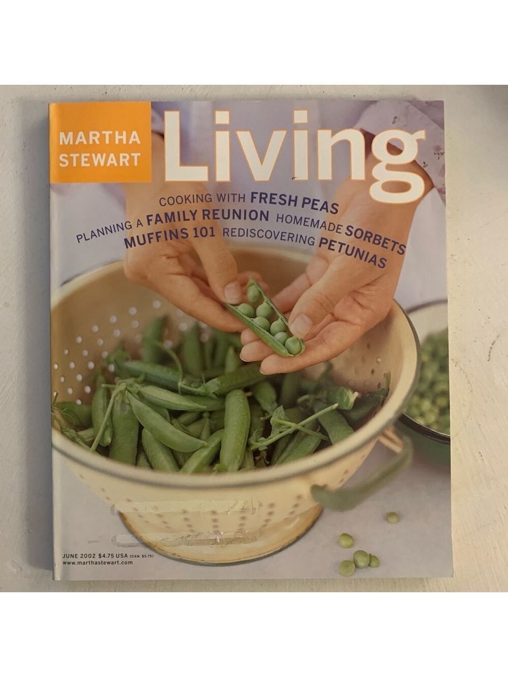 Martha Stewart Living Magazine June 2002